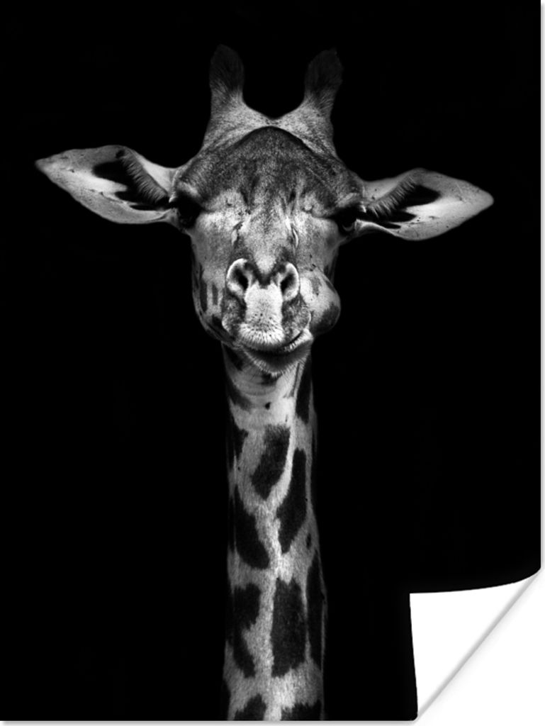MuchoWow Poster Giraffe - Porträt - Tiere - Schwarz - Weiß 60x80 cm - Schlafzimmer Dekoration