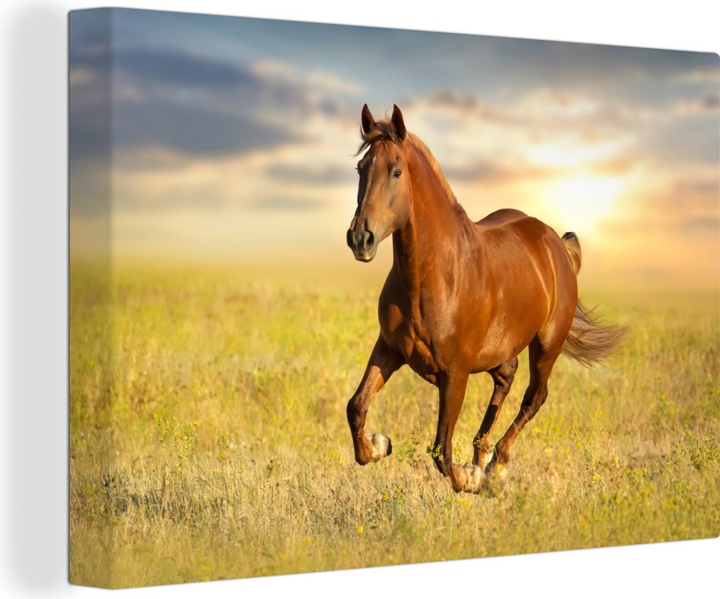 OneMillionCanvasses - Leinwandbilder - 140x90 cm, Pferd - Sonne - Gras - Tier, Wandbilder Kunstdruck Wanddekoration