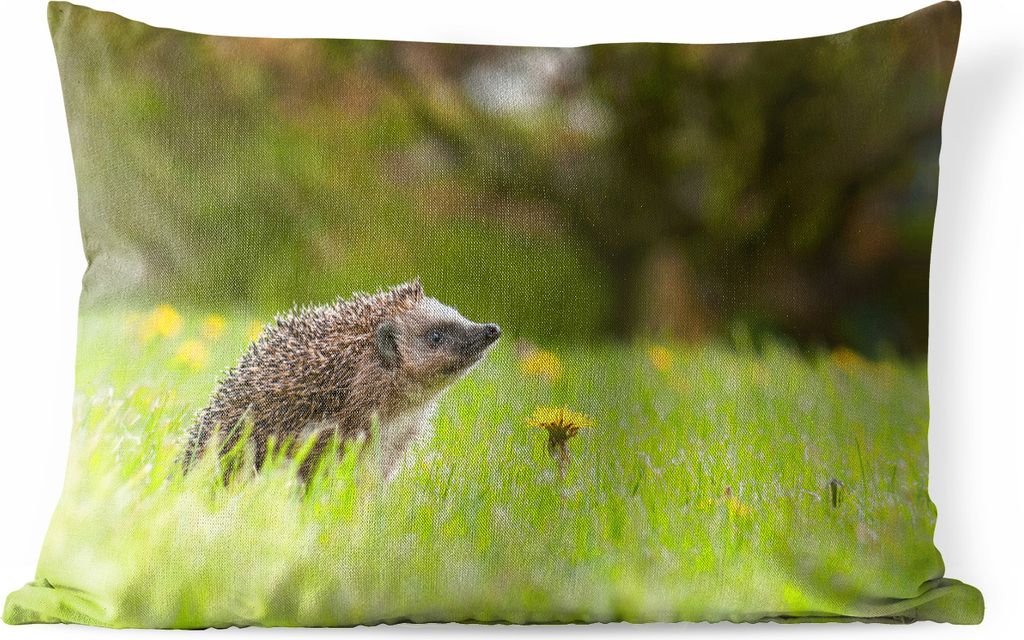 MuchoWow Outdoor Kissen - Igel im Gras - 50x30 cm - Wetterfest - Lounge Kissen - Sofa kissen - Wohnzimmer Dekoration