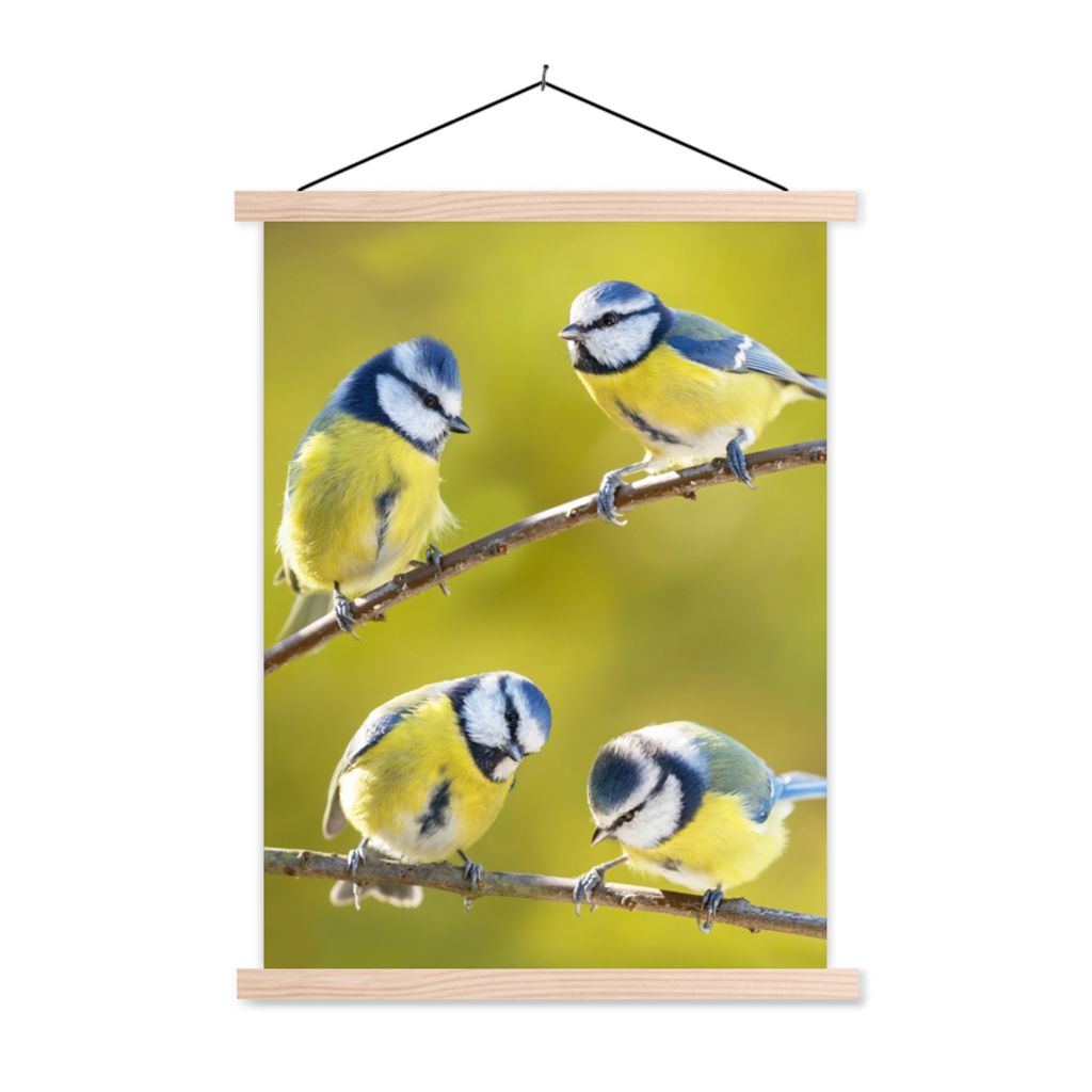 MuchoWow Textilposter Vogel - Blaumeise - Äste - Sonne 40x53 cm mit holzfarbenen Rahmen - Schlafzimmer