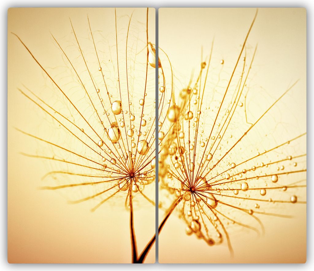 Tulup Glas-Herdabdeckplatte - 2x30x52cm - Glaskeramikkochfeld-Abdeckung Spritzschutz Zweiteilig Pusteblume Samen