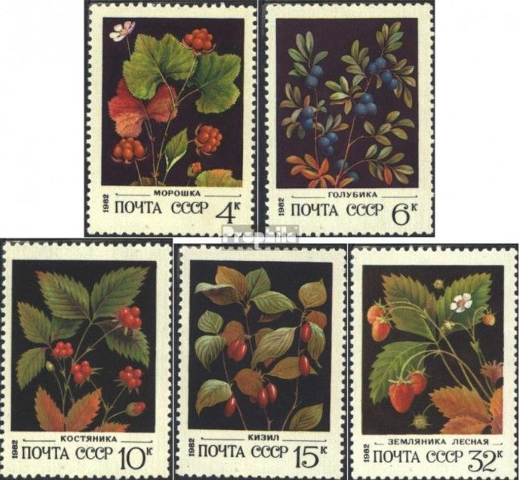 Briefmarken Sowjetunion 1982 Mi 5155-5159 (kompl.Ausg.) gestempelt Wildwachsende Beeren