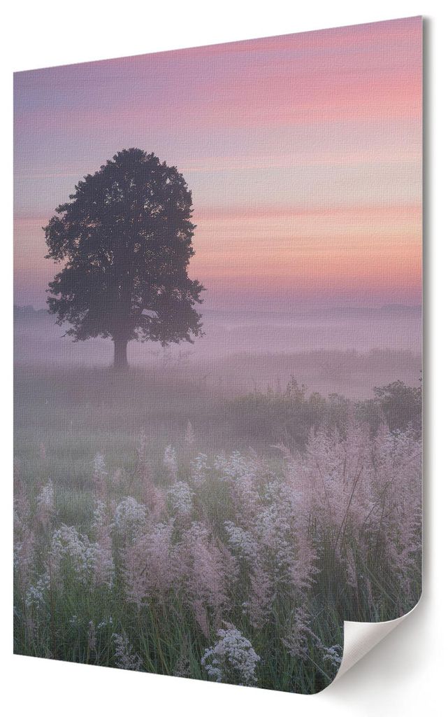 Ein Baum auf der Wiese- Kunstdruck A3 (29x42 cm) - Klassisch, rustikal- Wandbild für Wohnzimmer Schlafzimmer & Flur, Modernes Poster Wanddeko, Ung...