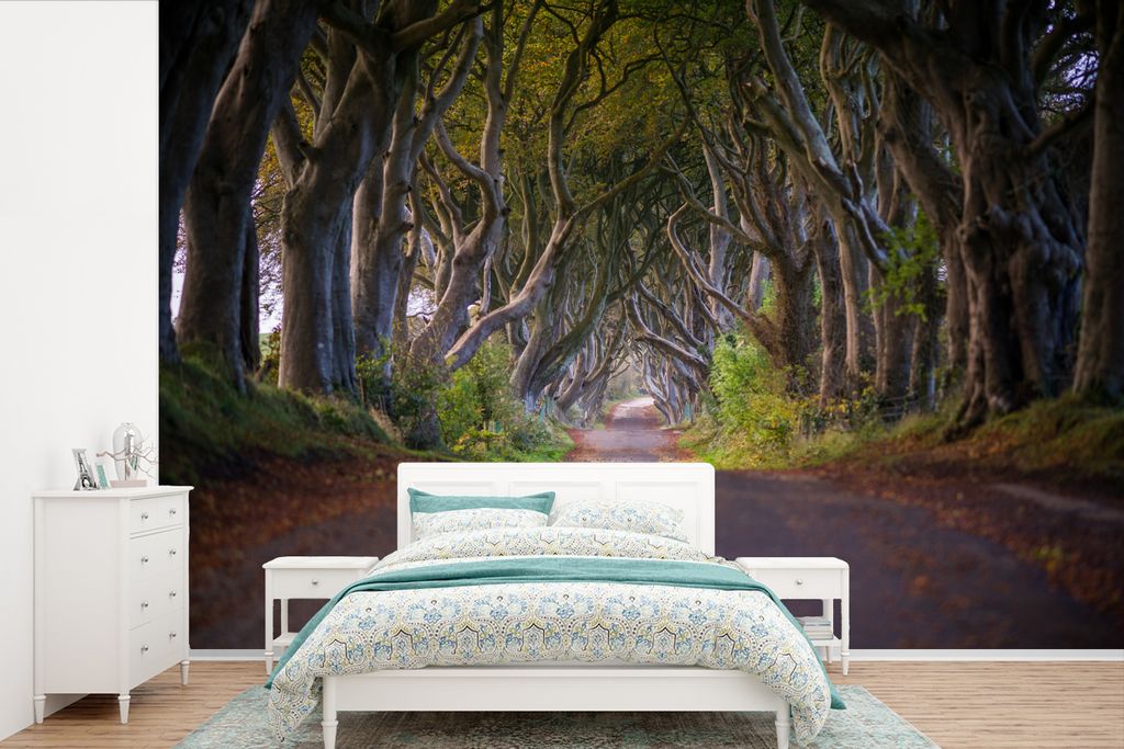 MuchoWow Fototapete für Wohnzimmer oder Schlafzimmer Wandtapete Vinyl Motivtapete Naturtunnel in Irland - 330x220 cm - Fototapeten