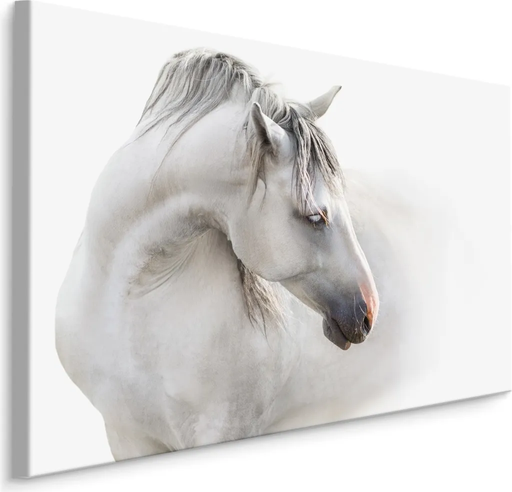 Decorazione Parete Cavallo Astratto 100x70 XXL - Tela Artistica