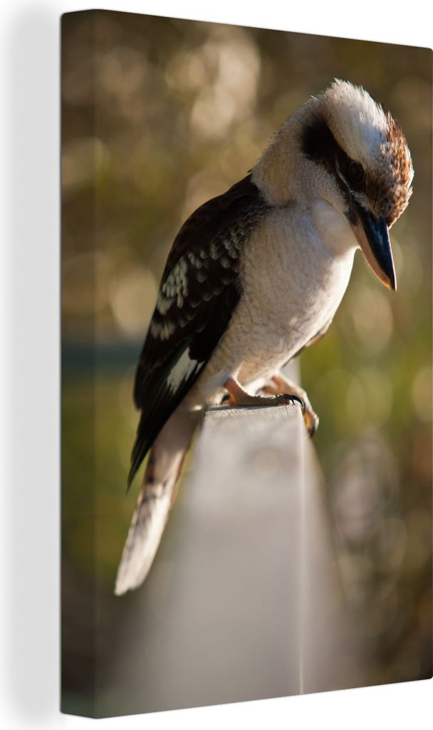 OneMillionCanvasses - Leinwandbilder - 90x140 cm, Ein Kookaburra sitzt auf einem Geländer, Wandbilder Kunstdruck Wanddekoration - Foto auf Leinw...