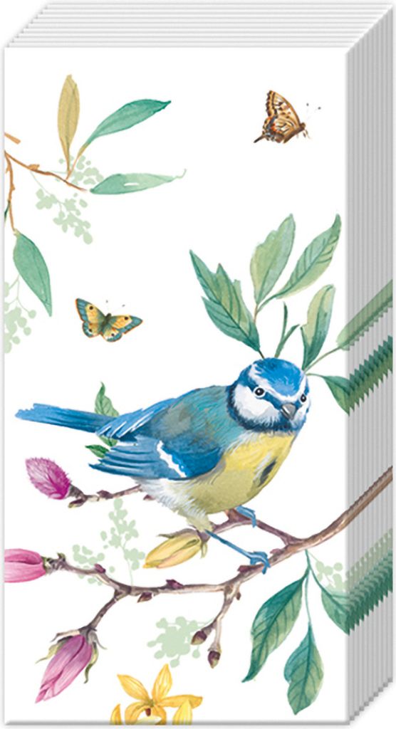 Papiertaschentücher "Bird Story"
