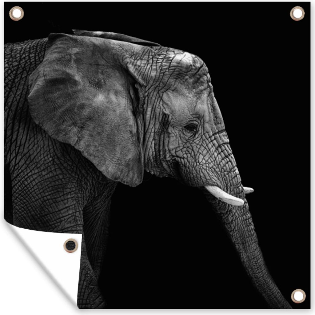 MuchoWow 50x50 cm Outdoor-Poster Gartendeko Sichtschutz Garten Poster für den Garten Elefant - Schwarz und weiß - Porträt - Tiere