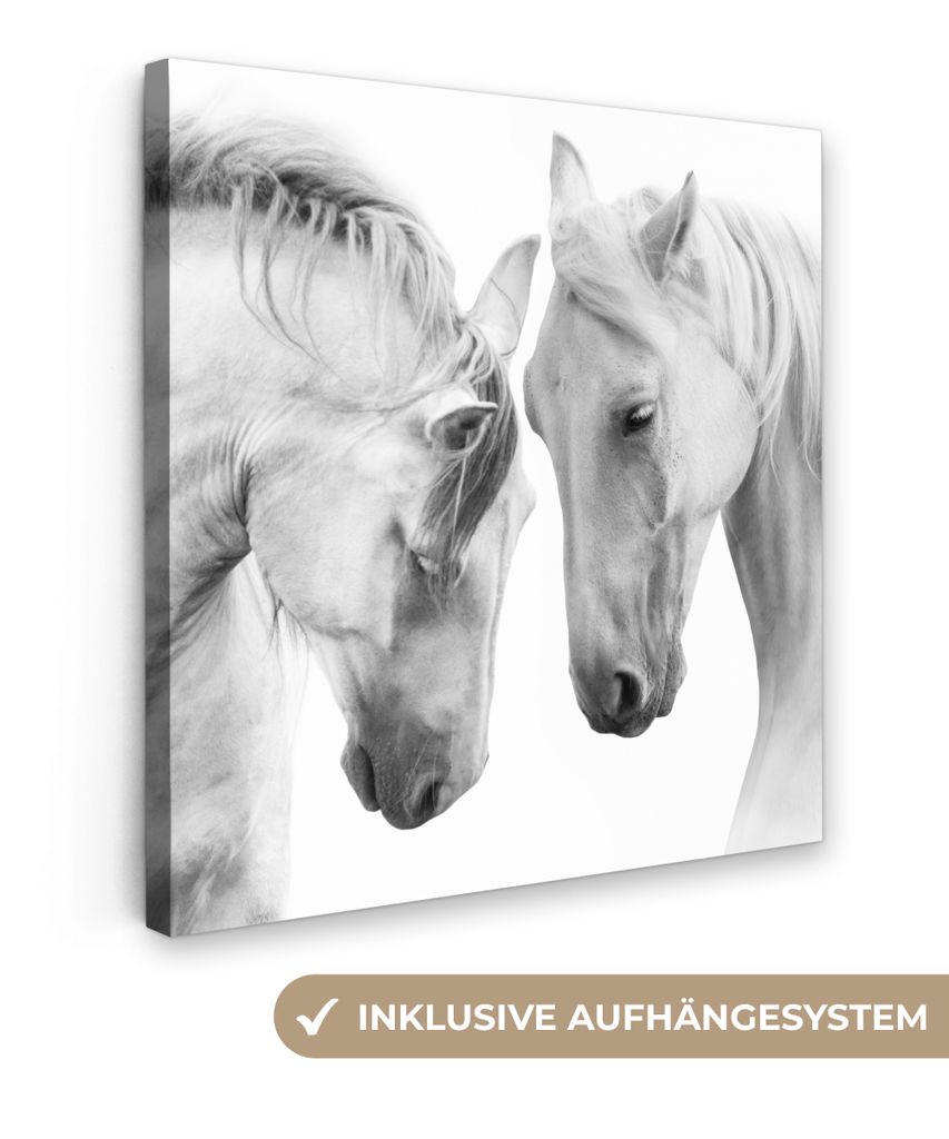 MuchoWow - Leinwandbilder - Pferd - Tiere - Porträt - Weiß, Wandbild, Wanddeko Bilder Wohnzimmer, 90x90 cm