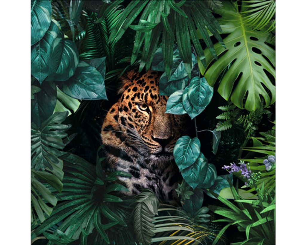 Glasbild Jaguar in the jungle 50x50 cm