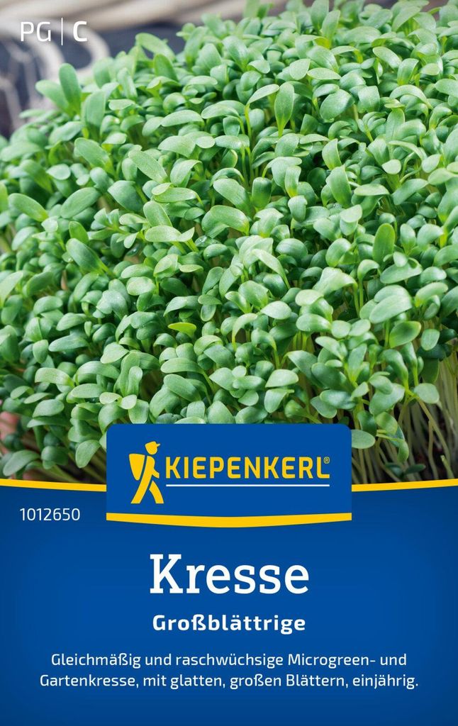 Kiepenkerl Kressesamen Großblättrige Lepidium sativum 1-2 m²