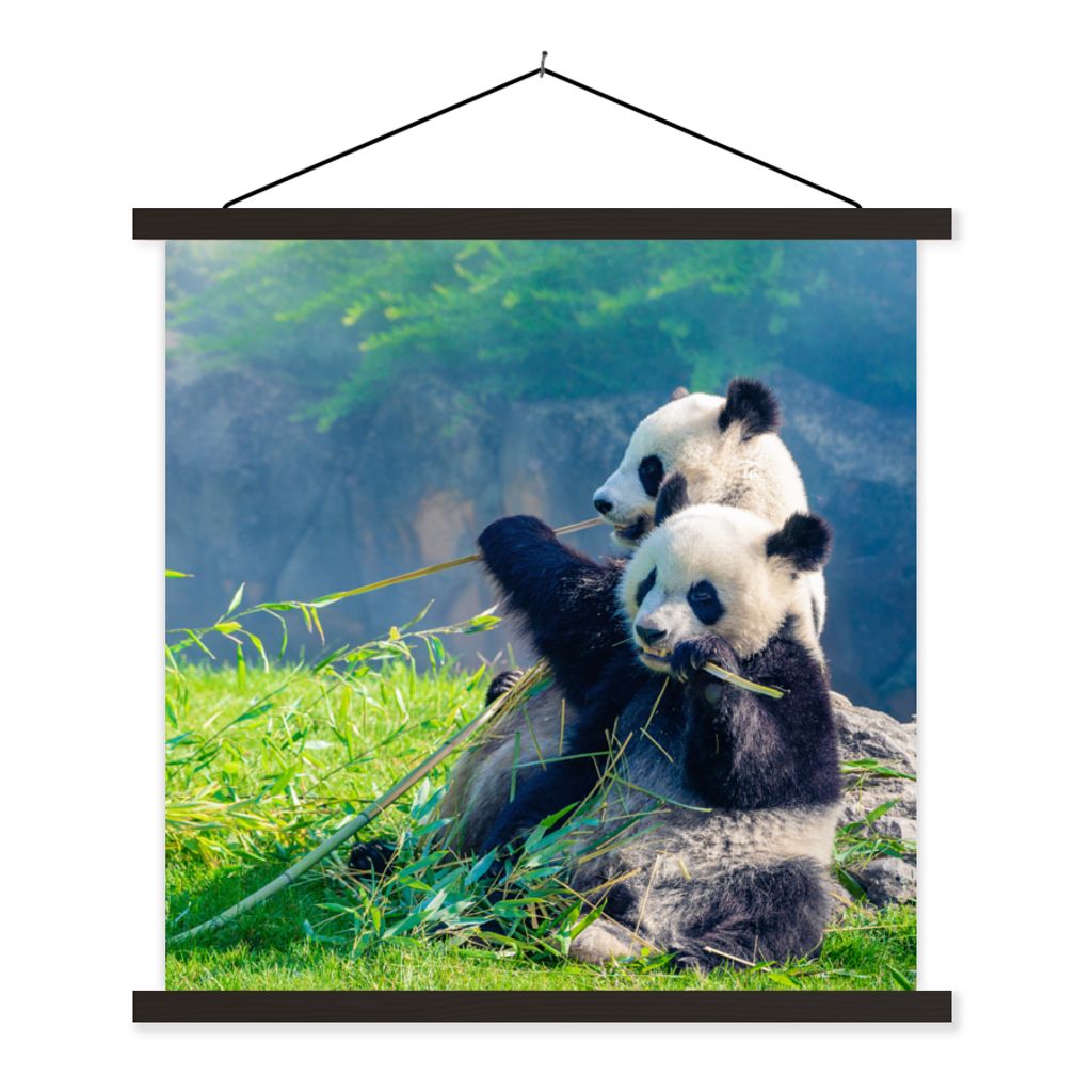 MuchoWow Textilposter Panda - Bambus - Gras - Tiere 60x60 cm mit schwarzem Rahmen - Posteraufhänger