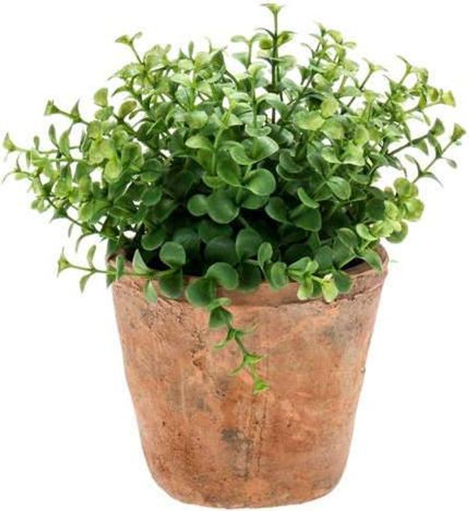 artplants.de Künstlicher Eukalyptus LUCANO im Terracotta Topf, grün, 20cm - Kunstpflanze - Kräuter Pflanze