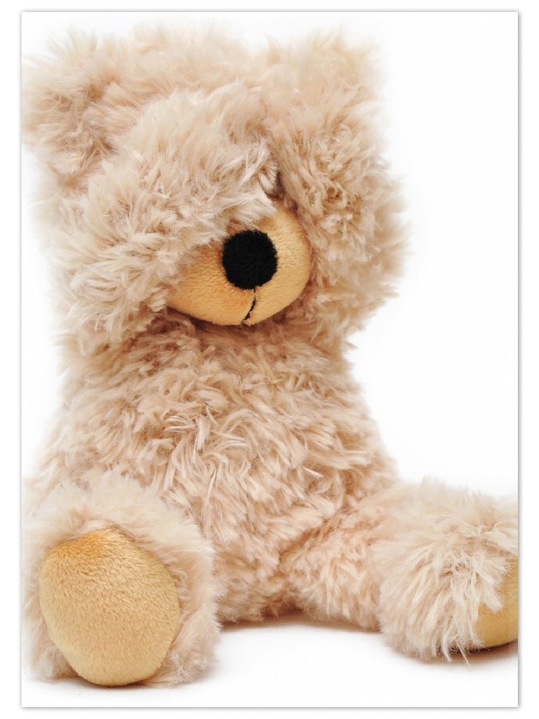 Wallario Premium Teppich, Größe 50 x 70 cm, Süßer Teddybär