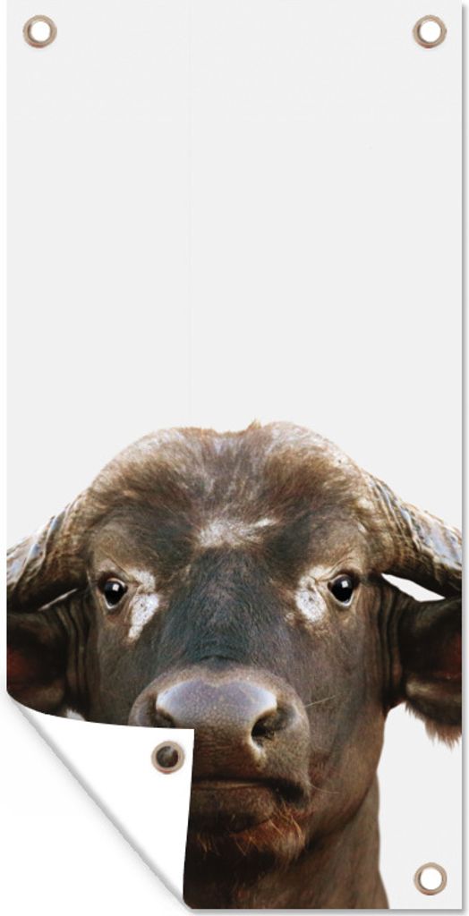 MuchoWow 30x60 cm Outdoor-Poster Gartendeko Sichtschutz Garten Poster für den Garten Büffel - Wasserbüffel - Kopf - Kuh - Hörner - Jungen - M...