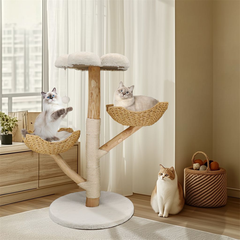 Three cats are interacting with a multi-level cat tree in a well-lit room with a window and furniture.