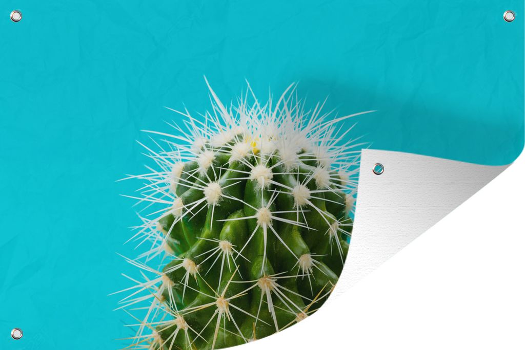 MuchoWow 90x60 cm Outdoor-Poster Gartendeko Sichtschutz Garten Poster für den Garten Kaktus auf blau