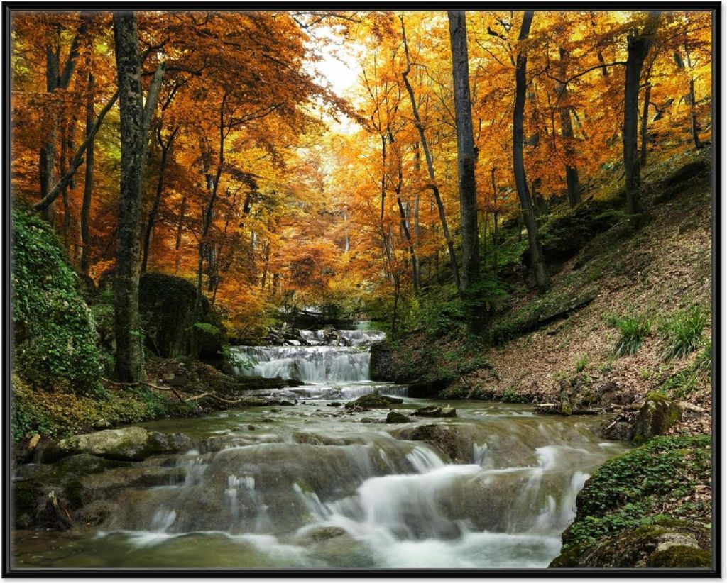 Wallario Wandbild Kleiner Bach über Steine im Herbstwald, Produktbild 