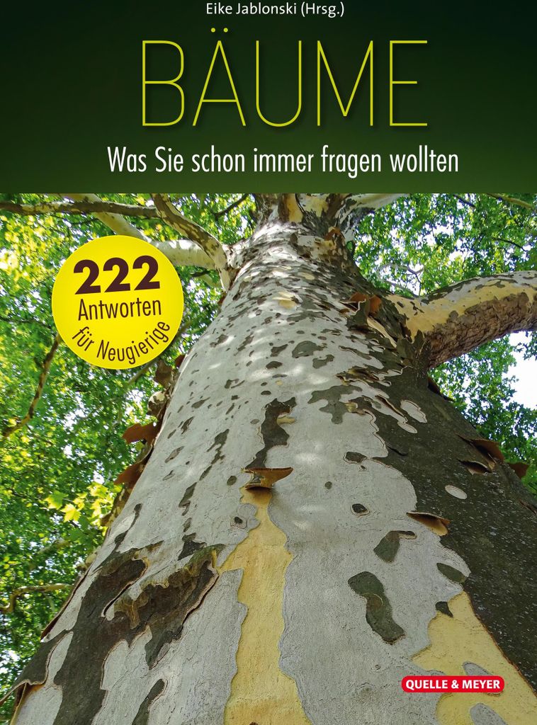 Bäume: Was Sie schon immer fragen wollten