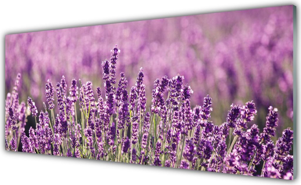 Küchenrückwand aus Glas 125x50cm Spritzschutz Blumen Pflanzen