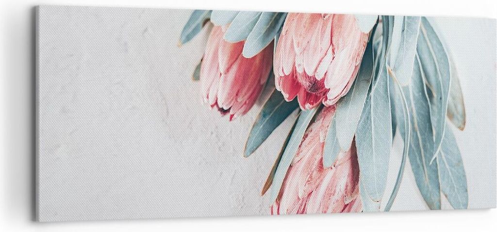 Bild auf Leinwand - Leinwandbild - Einteilig - Blume Eukalyptus Australier - 120x50cm - Wand Bild - Wanddeko - Wandbilder - Leinwanddruck - Bilder ...