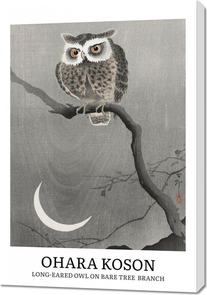 Bild 70x100cm Design Langohr-Eule, Vintage Koson für das Wohnzimmer