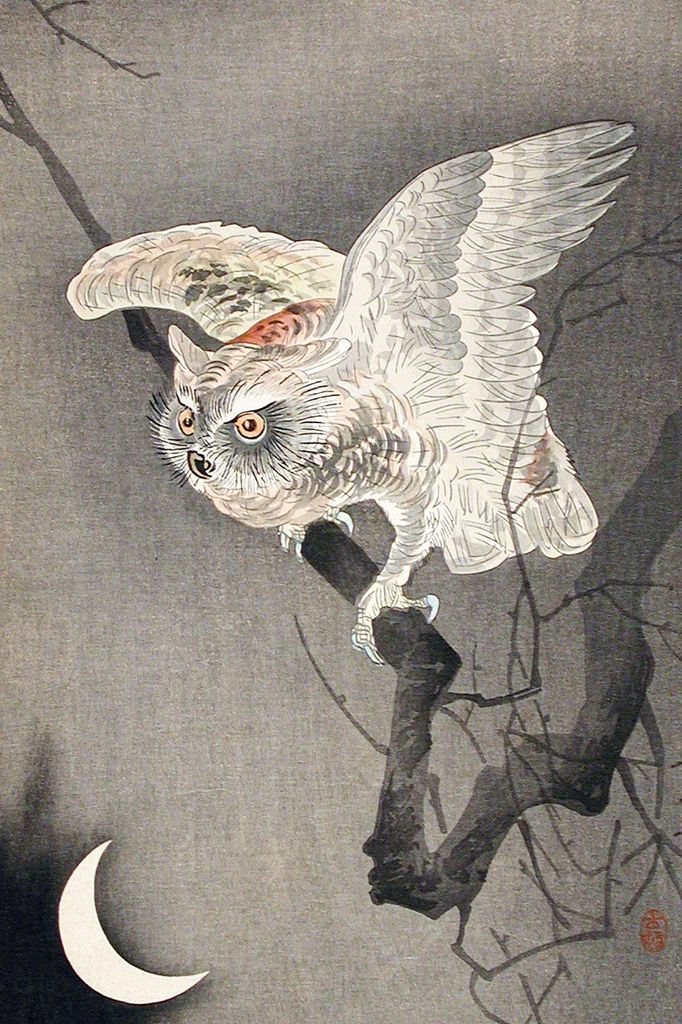 Plakat 61x91,5cm Uhu im Mondlicht, Japanischer Koson Vintage für das Wohnzimmer