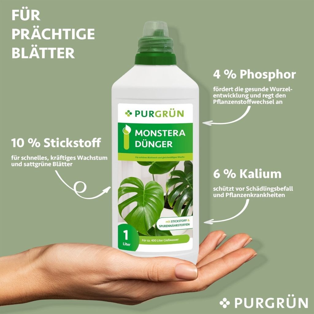 Monstera Dünger Hausmittel