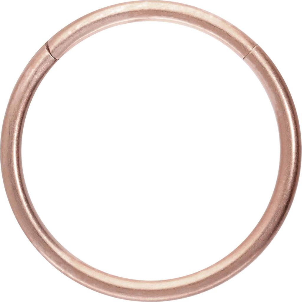 Ohrpiercing, Nasenpiercing, Septum Piercing Titan Segmentring Clicker MATT RoséGold Innendurchmesser: 14mm + Stabstärke: 1,2mm