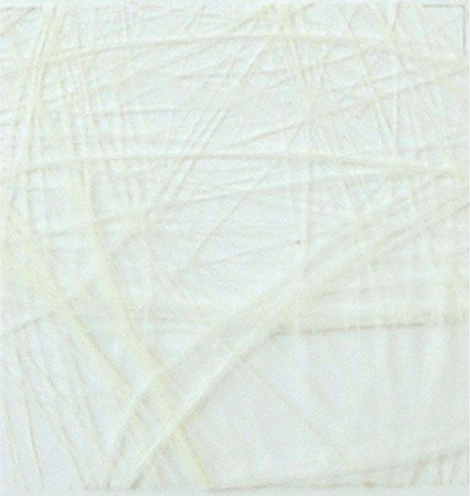 Vaessen Creative | Sizoweb 5mx10cm Creme
