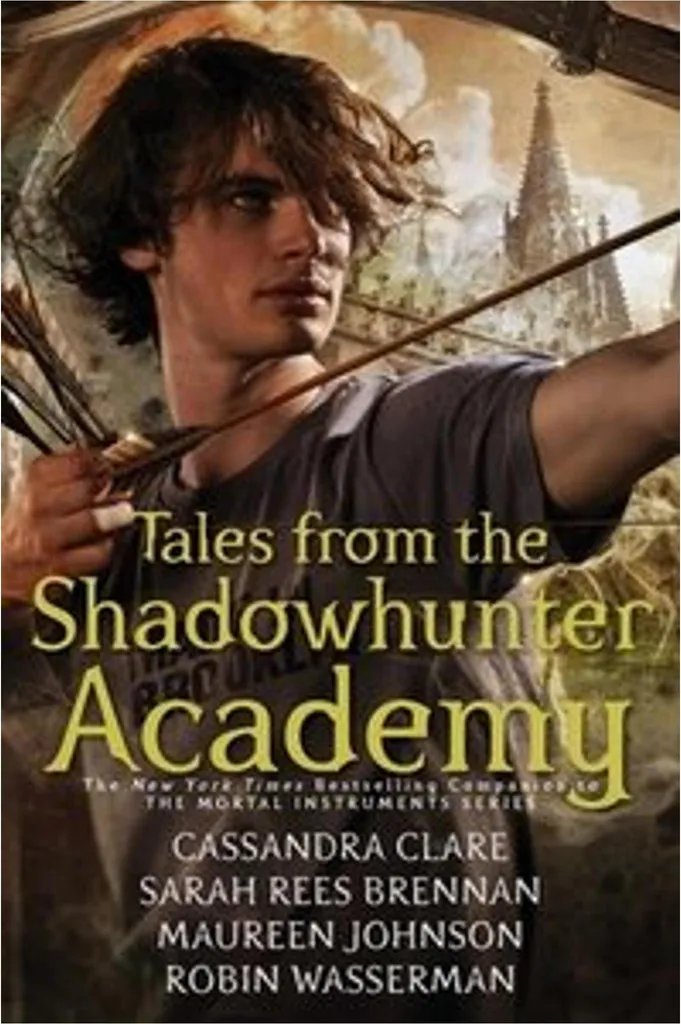Livre Fantasy Histoires de l'Académie des Chasseurs d'Ombres Roman