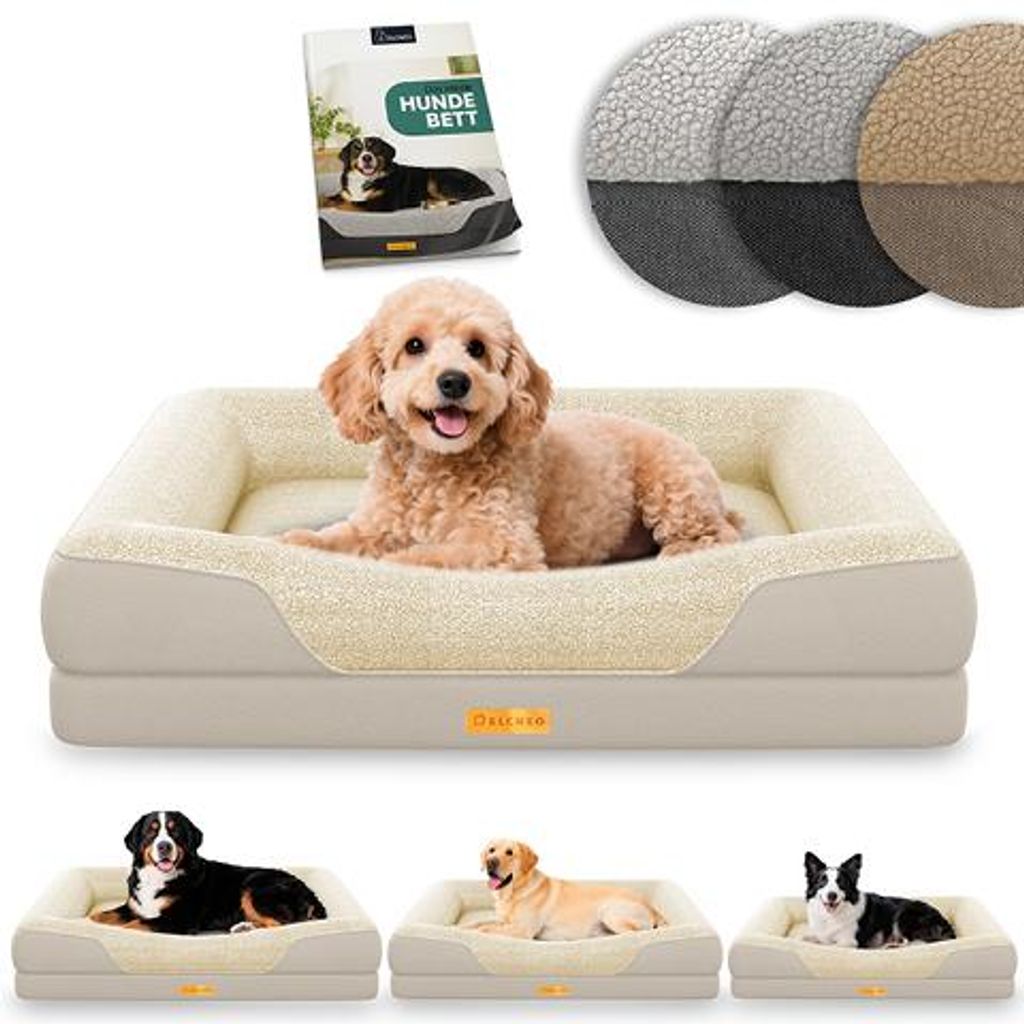Lit orthopédique pour chien ELONEO, taille S - Crème Image du produit 