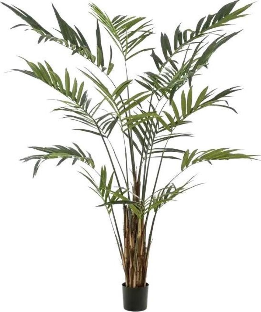 Emerald Künstliche Areca Palme - Isaiah | 270 cm, für drinnen, Kunstbaum, wie echt, Allergiker geeignet, pflanzliche Dekoration Praxis, Office & ...