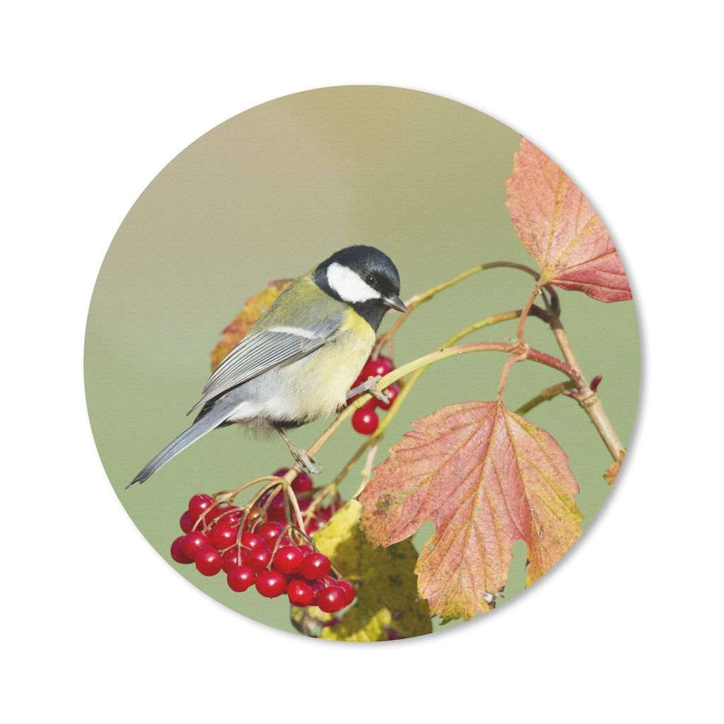 MuchoWow Mauspad Mousepad Tolle Meise zwischen den roten Blättern 40x40 cm - Mousepads - Maus Mat - Pad - Mausunterlage - Schreibtisch Accessoires