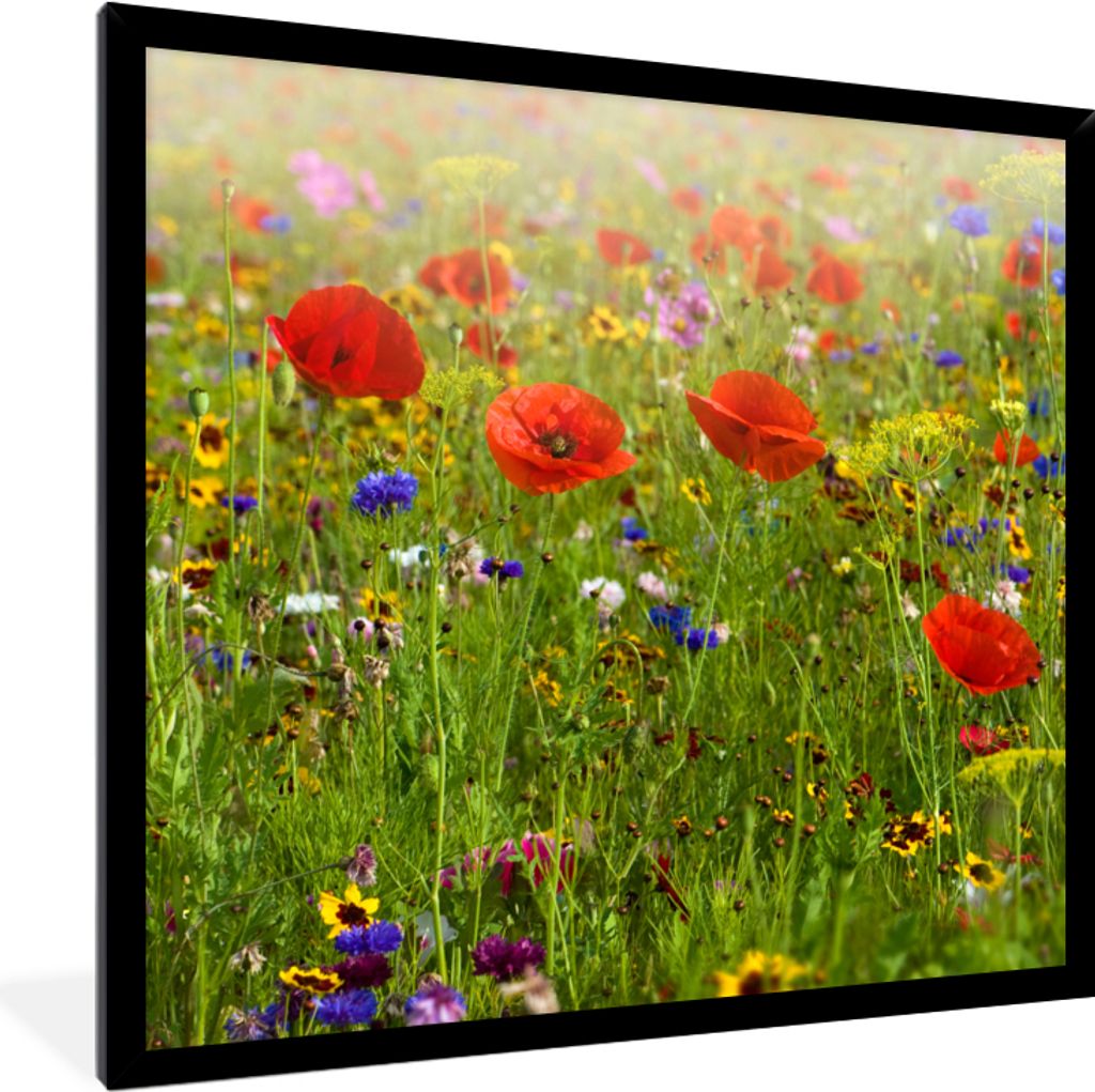MuchoWow® Gerahmtes Poster Frühling - Blumen - Rot - Mohn - Produktbild 
