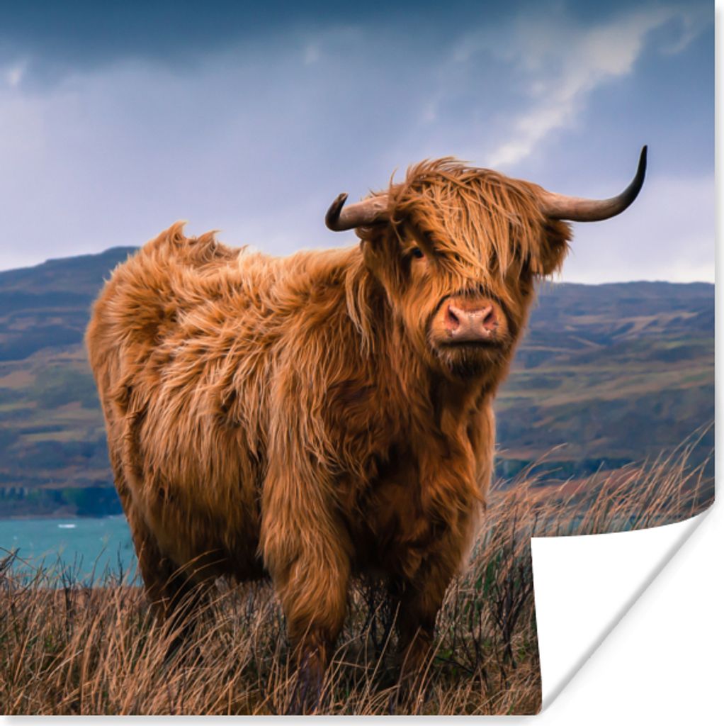MuchoWow Poster Schottischer Highlander - Berg - Wasser - Natur - Kuh 100x100 cm - Babyzimmer