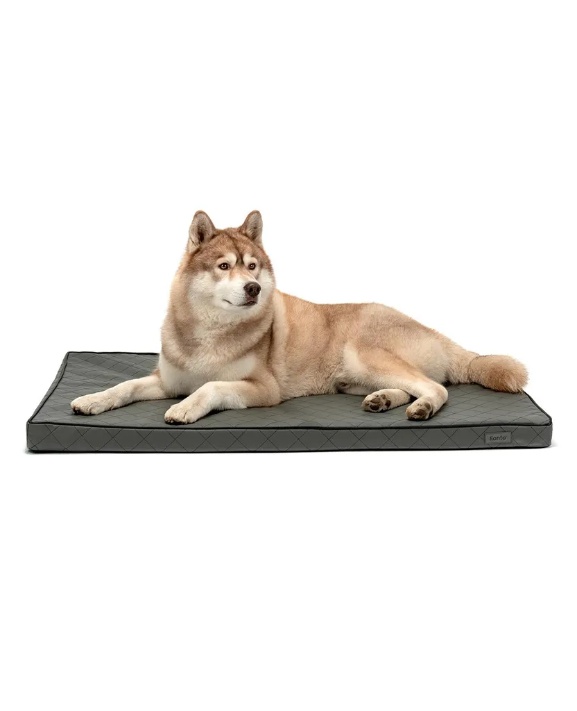 Materasso Cane lionto 118x80 Memory Foam: Supporto Ortopedico XL