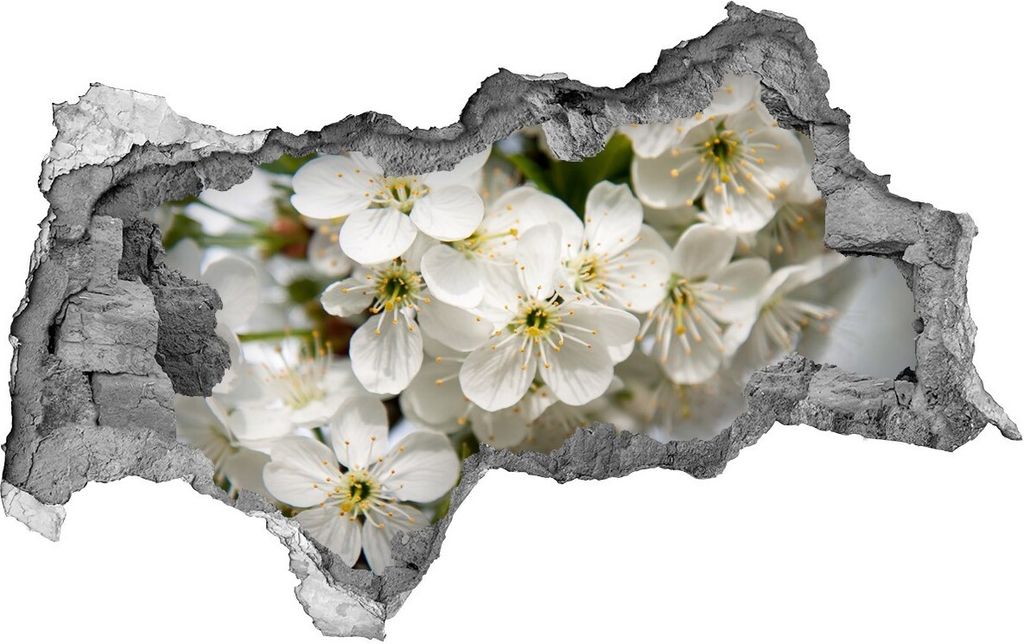 Selbstklebender Loch-3D-Aufkleber 95x73 cm Kirschblüten