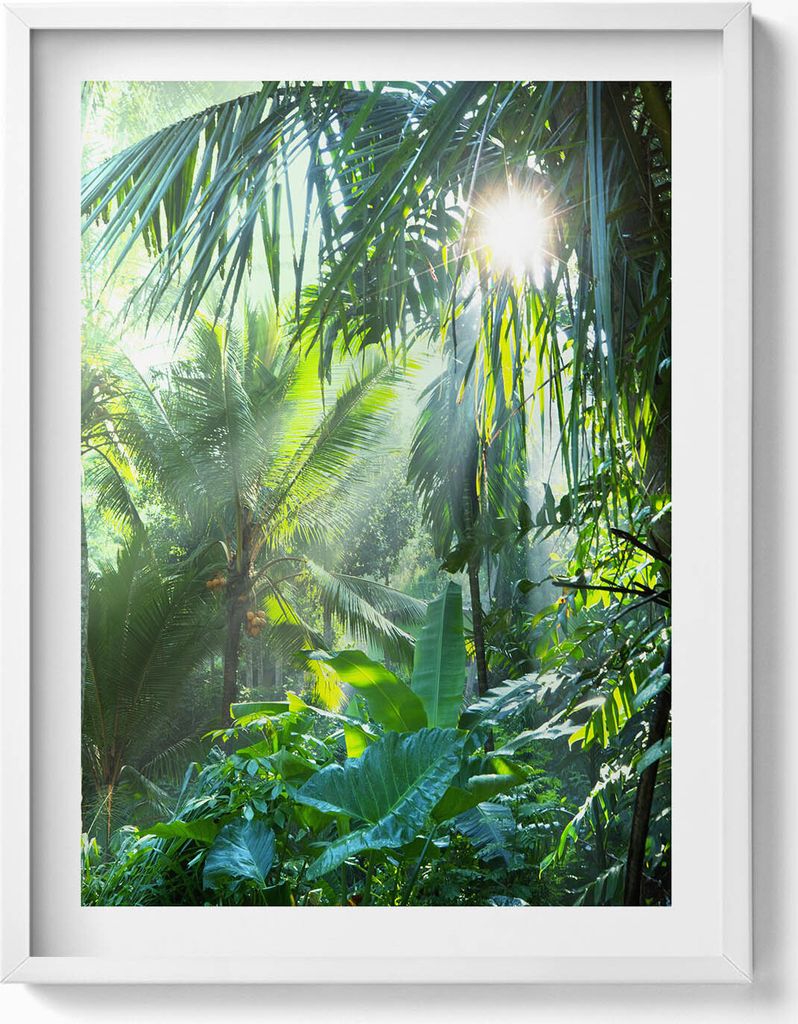 Grüner Dschungel voller Pflanzen– Wandbild mit Rahmen – Gerahmtes Bild – Wanddekoration – 60x80 cm – Weiß Rahmen