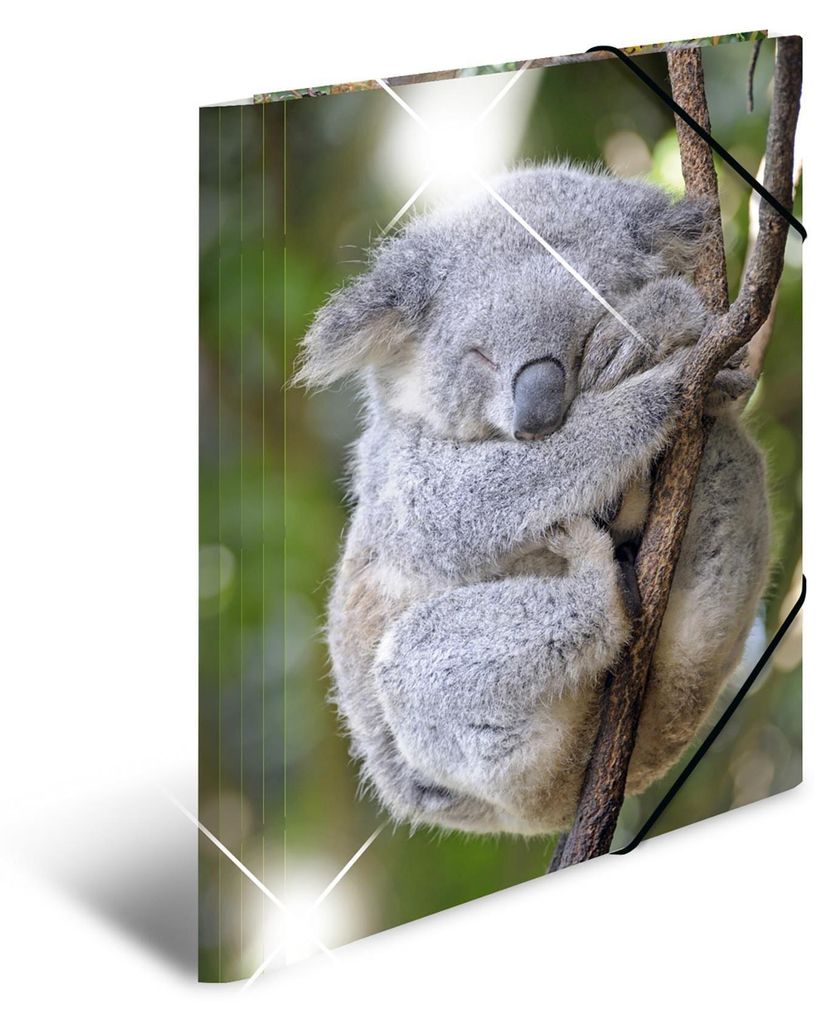 HERMA Sammelmappe A4 Glossy Koala Polypropylen Image du produit 