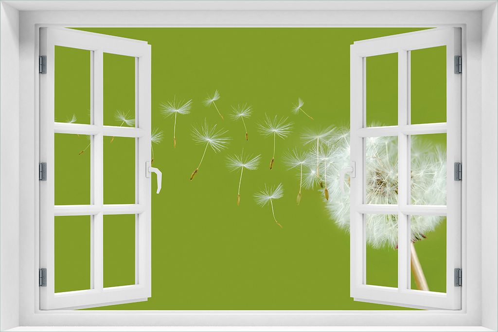 Wallario Wandbild aus Acryl, 60 x 90 cm, freischwebende Optik - Pusteblume auf der Wiese mit fliegenden Samen mit Fenster-Illusion