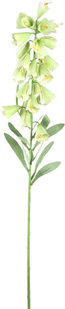 PTMD – Künstliche Gartenblume – Grün – 45 x 22 x 89 cm