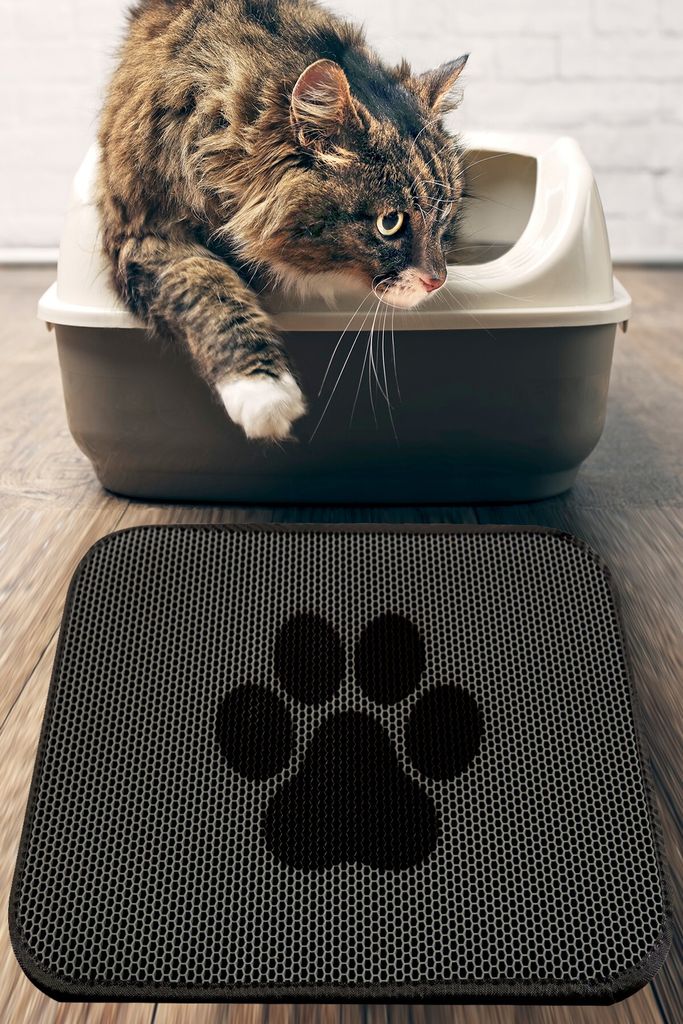 Conceptum Hypnose, Cat Paw Mat, Katzenstreumatte, Mehrfarbig, 100 % PVC, 40 x 60 cm
