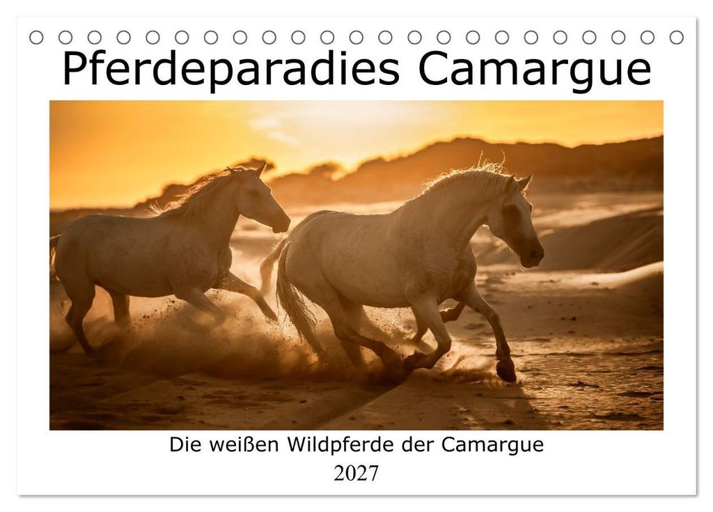 Pferdeparadies Camargue (Tischkalender 2027 DIN A5 quer), CALVENDO Monatskalender