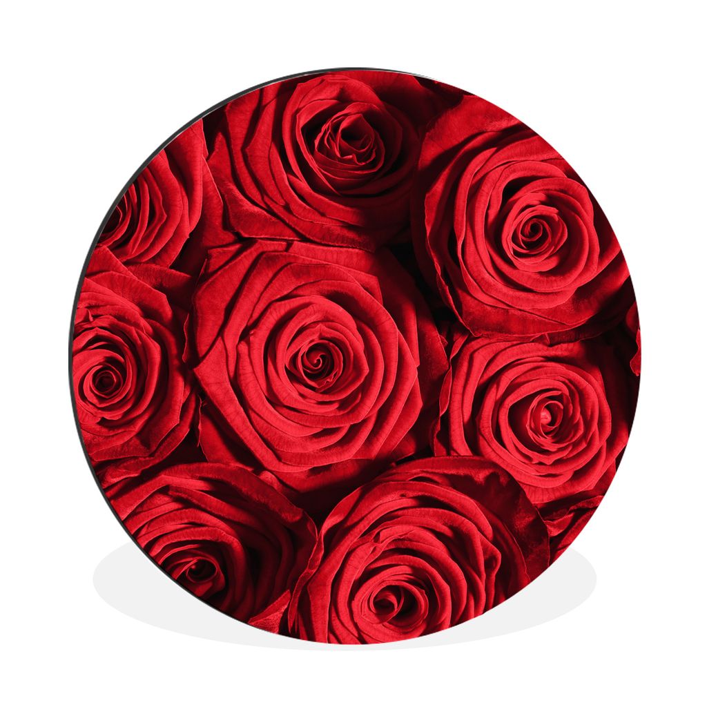 MuchoWow Aluminium Wandkreis Rosen - Rose - Rot Ø 60 cm Wanddeko Modern Wohnzimmer - Wand Kreis - Wandbild - Schlafzimmer - Aluminium Bild - Kin...