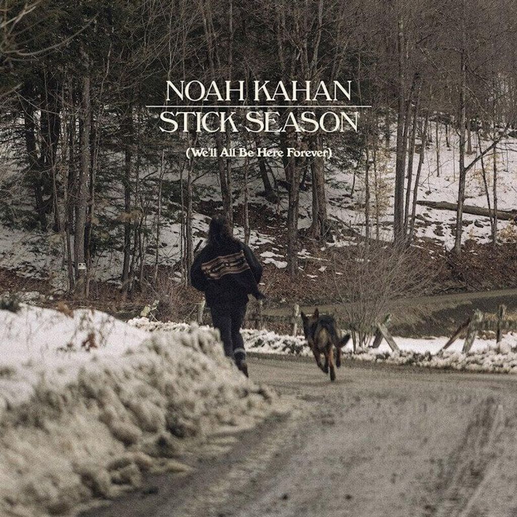 Noah Kahan - Stick Season (Black Ice Coloured) (We'll All Produktbild 