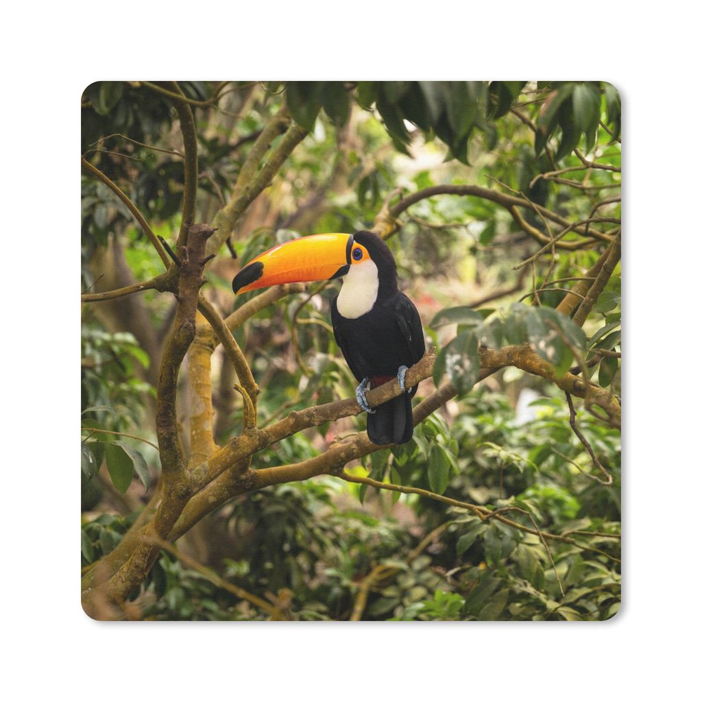 MuchoWow Mauspad Mousepad Vogel - Tukan - Dschungel - Natur - Tropisch 20x20 cm - Mousepads - Maus Mat - Pad - Mausunterlage - Desk Mat - Bureaua...