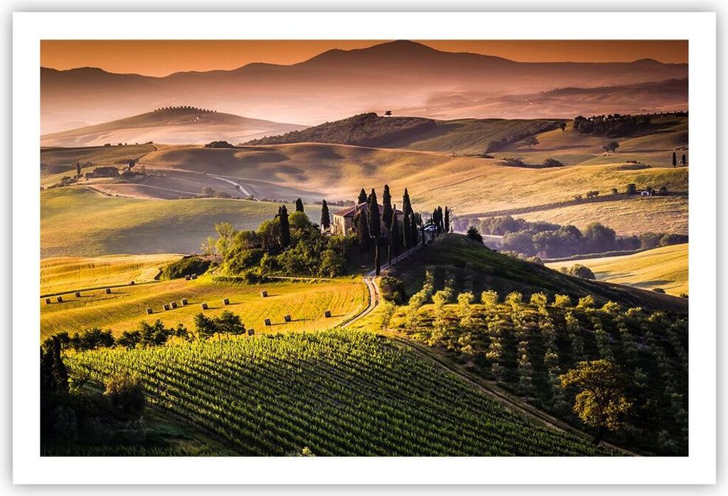 Poster - Poster ohne Rahmen - Landwirtschaft Bauernhof Toskana Weinberg - 91,5x61 cm - Wand Bild - Wanddeko - Wandbilder - Kunstposter - Wandposter...