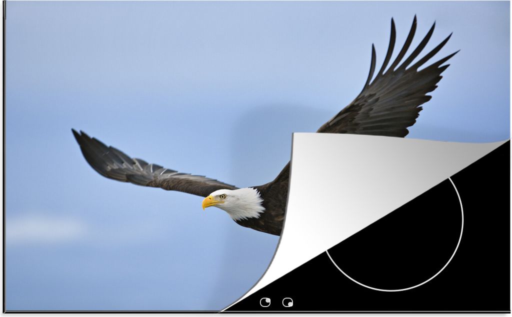KitchenYeah Herdabdeckplatte Amerikanischer Weißkopfseeadler - Adler - Fliegen - Vögel , 80x52cm, Küche Deko, Glaskeramikkochfeld Herdabdeckun...