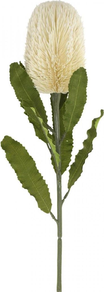 Kunstblume Banksia Dekoblume Täuschend Echt Exotische Blüte